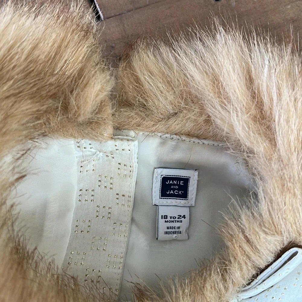 Janie and jack metallic faux fur collar party  party dress